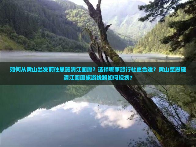 如何从黄山出发前往恩施清江画廊？选择哪家旅行社更合适？黄山至恩施清江画廊旅游线路如何规划？