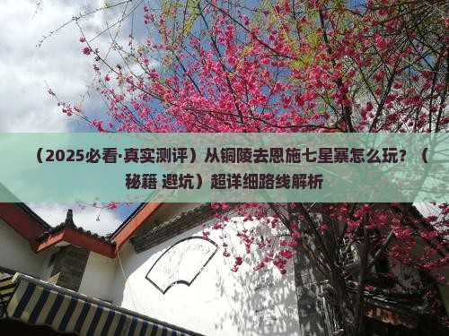 铜陵到恩施七星寨哪里玩