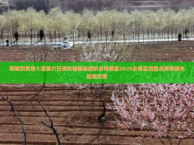 桐城到恩施七星寨六日游