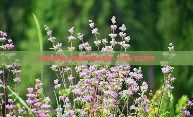 襄阳去恩施土司城旅游小吃
