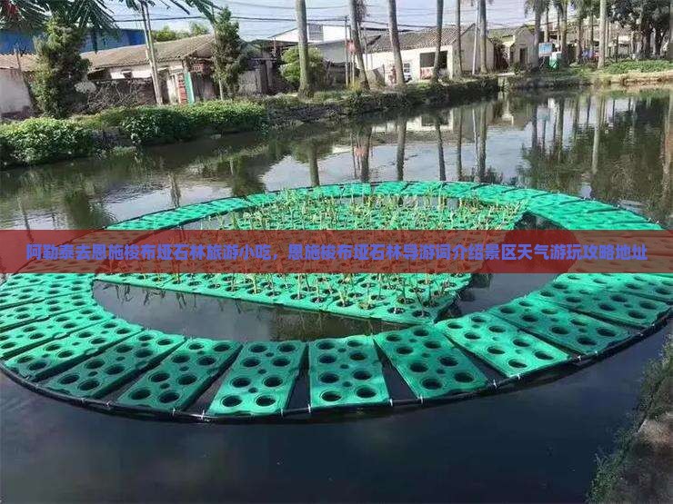 阿勒泰去恩施梭布垭石林旅游小吃