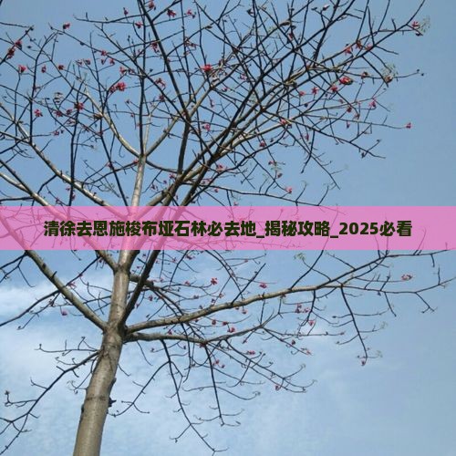 清徐去恩施梭布垭石林必去地