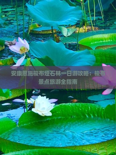 安康到恩施梭布垭石林一日