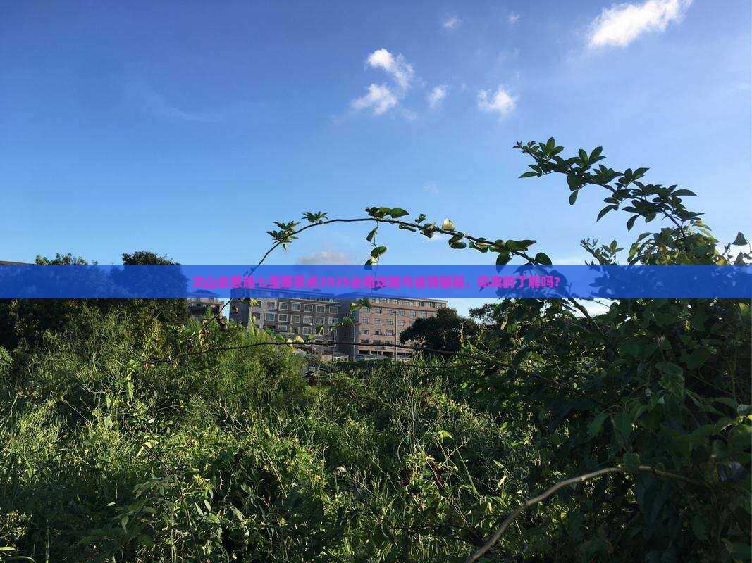 文山去恩施七星寨景点