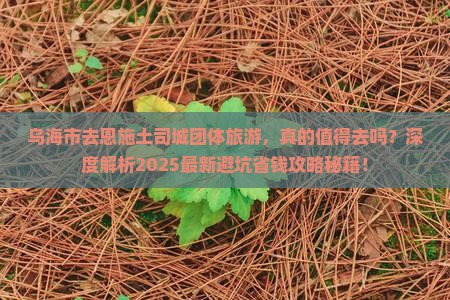 乌海市去恩施土司城团体旅游