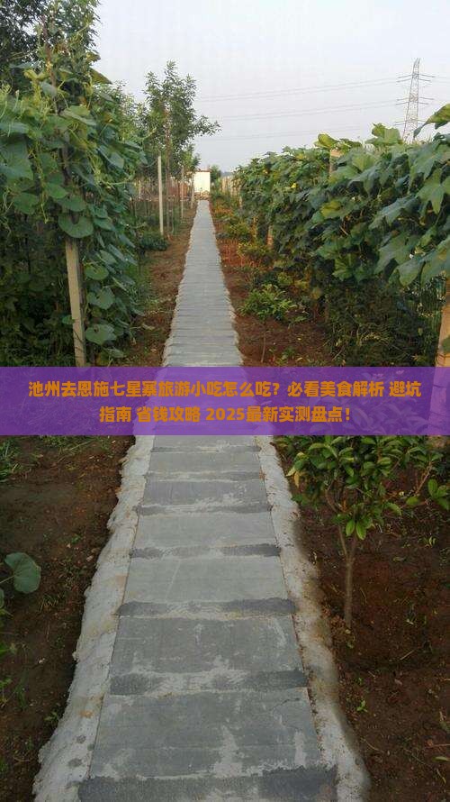 池州去恩施七星寨旅游小吃