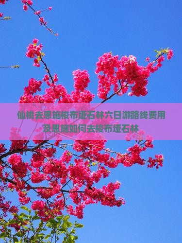 仙桃去恩施梭布垭石林六日游