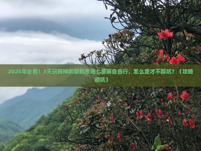 神农架到恩施七星寨自由行