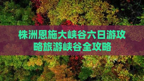 株洲到恩施大峡谷六日游 株洲到恩施大峡谷六日游