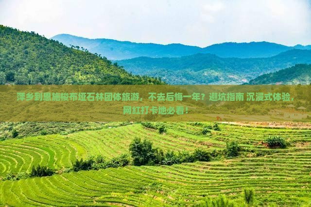 萍乡到恩施梭布垭石林团体旅游