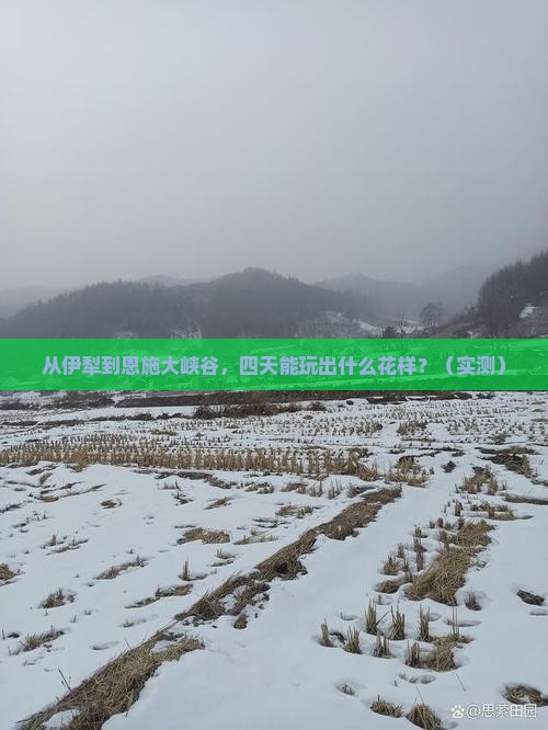 伊犁去恩施大峡谷四日游