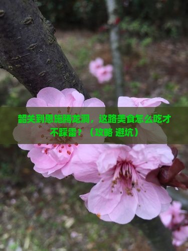 韶关到恩施腾龙洞旅游小吃