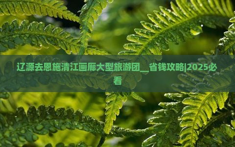 辽源去恩施清江画廊大型旅游团