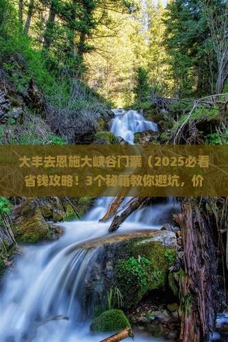 大丰去恩施大峡谷门票