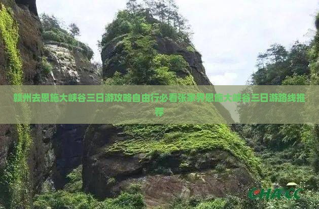 赣州去恩施大峡谷三日游