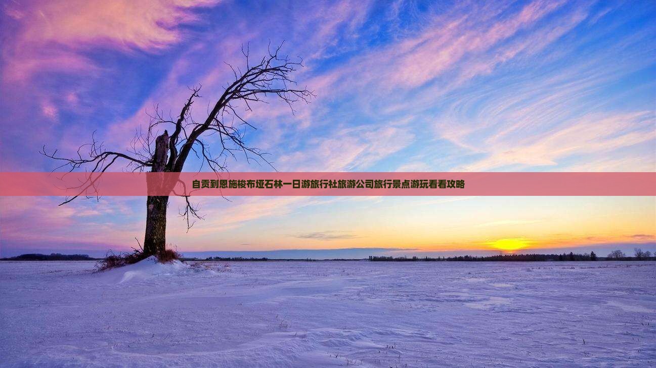 自贡到恩施梭布垭石林一日游旅行社旅游公司旅行景点游玩看看攻略