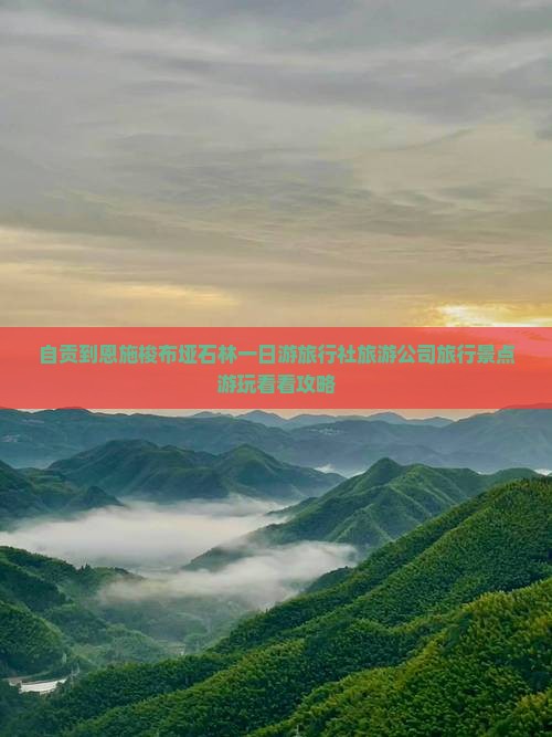 自贡到恩施梭布垭石林一日游旅行社旅游公司旅行景点游玩看看攻略