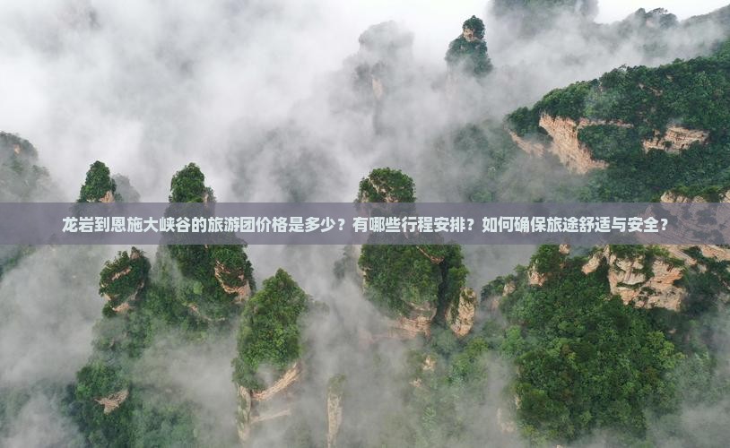 龙岩到恩施大峡谷的旅游团价格是多少？有哪些行程安排？如何确保旅途舒适与安全？