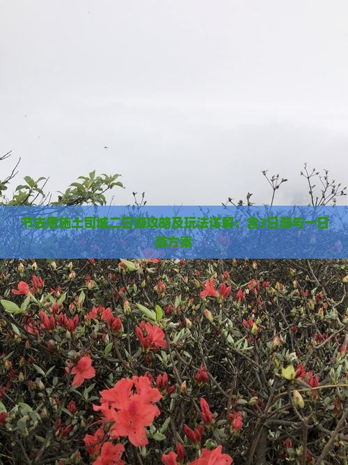 节去恩施土司城二日游攻略及玩法详解：含3日游与一日游方案