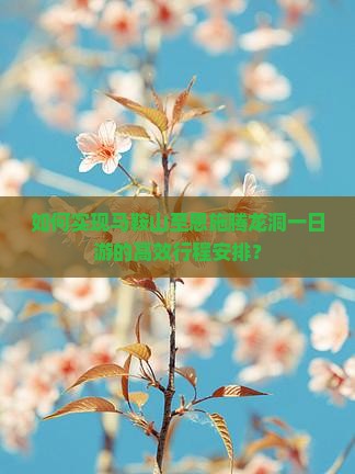 如何实现马鞍山至恩施腾龙洞一日游的高效行程安排？