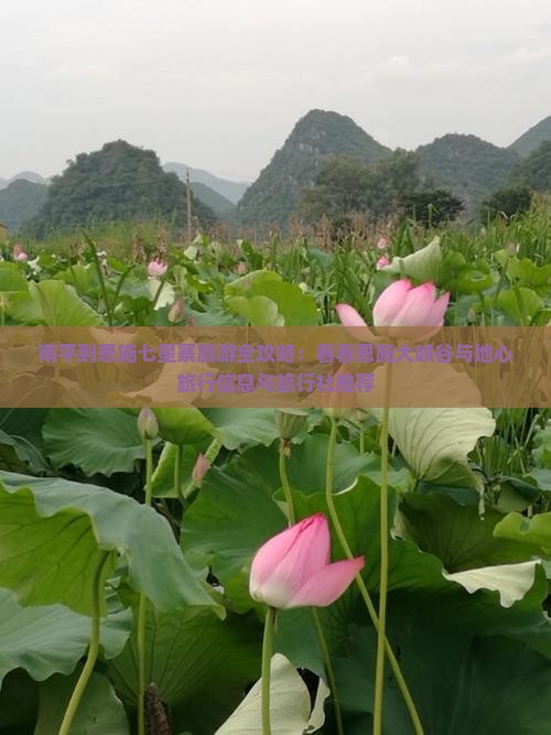 南平到恩施七星寨旅游全攻略：看看恩施大峡谷与地心旅行信息与旅行社推荐