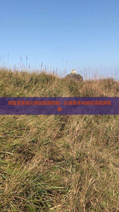 哈密至恩施大峡谷旅游攻略：必游景点与峡谷深度游指南