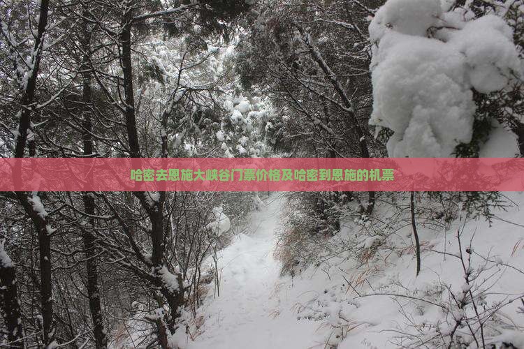 哈密去恩施大峡谷门票价格及哈密到恩施的机票