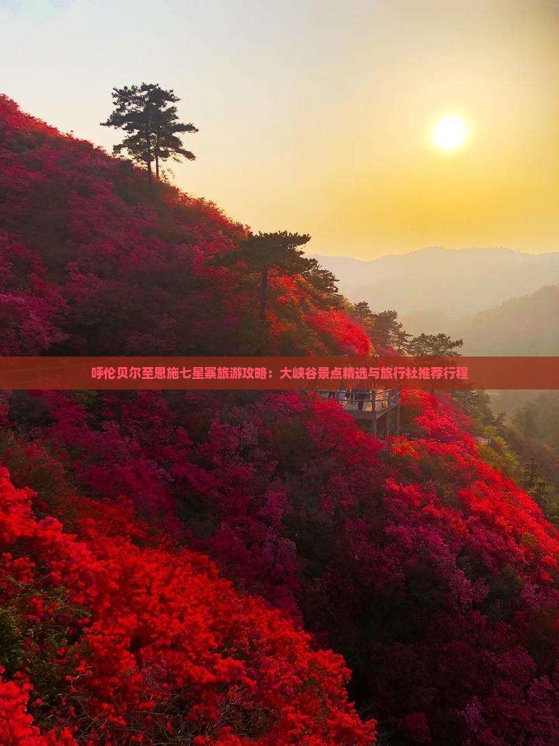 呼伦贝尔至恩施七星寨旅游攻略：大峡谷景点精选与旅行社推荐行程