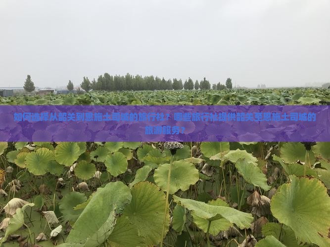 如何选择从韶关到恩施土司城的旅行社？哪些旅行社提供韶关至恩施土司城的旅游服务？