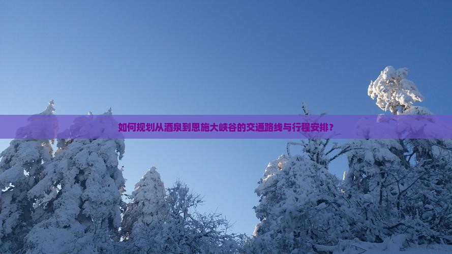 如何规划从酒泉到恩施大峡谷的交通路线与行程安排？