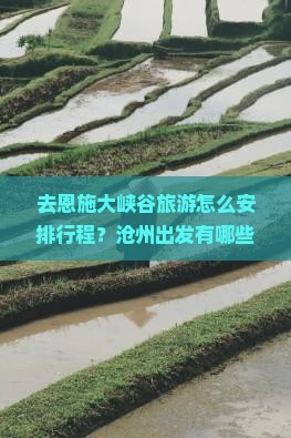 去恩施大峡谷旅游怎么安排行程？沧州出发有哪些靠谱的旅行社推荐？