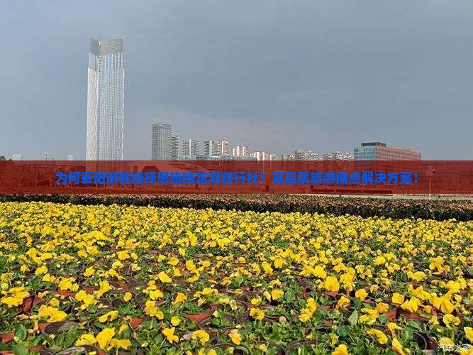 为何襄阳游客选择恩施腾龙洞旅行社？高品质旅游痛点解决方案！