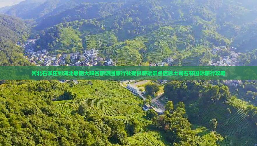 河北石家庄到湖北恩施大峡谷旅游团旅行社提供游玩景点信息土司石林国际旅行攻略