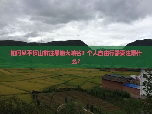 如何从平顶山前往恩施大峡谷？个人自由行需要注意什么？