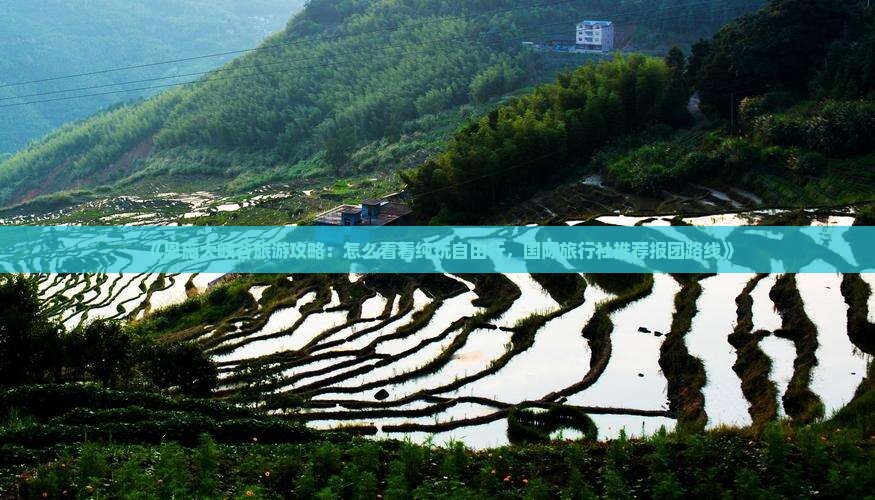 《恩施大峡谷旅游攻略：怎么看看纯玩自由行，国际旅行社推荐报团路线》