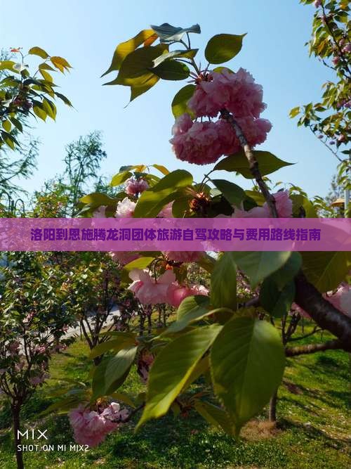 洛阳到恩施腾龙洞团体旅游自驾攻略与费用路线指南