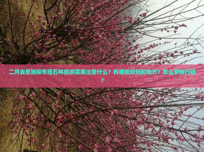 二月去恩施梭布垭石林旅游需要注意什么？有哪些好玩的地方？怎么安排行程？