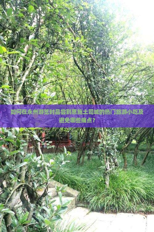 如何在永州游览时品尝到恩施土司城的热门旅游小吃及避免哪些痛点？
