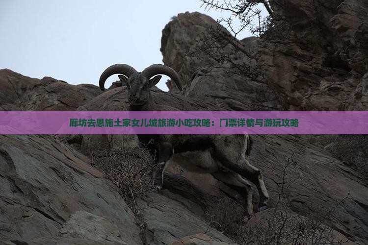 廊坊去恩施土家女儿城旅游小吃攻略：门票详情与游玩攻略