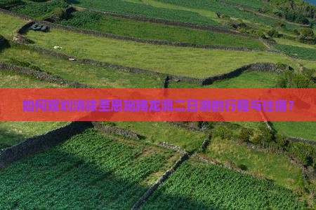 如何规划清徐至恩施腾龙洞二日游的行程与住宿？