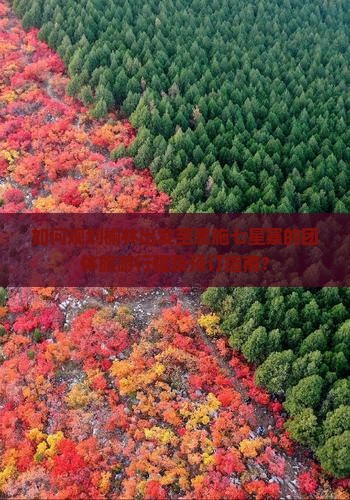 如何规划榆林出发至恩施七星寨的团体旅游行程及预订指南？