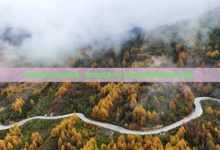 阳江至恩施土司城旅游，怎样选择旅行社才能避免陷阱和确保服务质量？