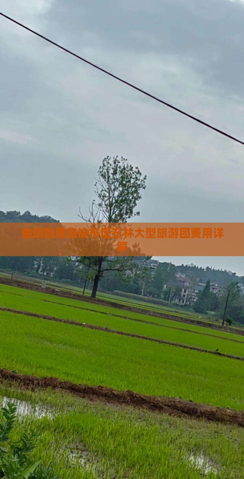 曲靖到恩施梭布垭石林大型旅游团费用详解