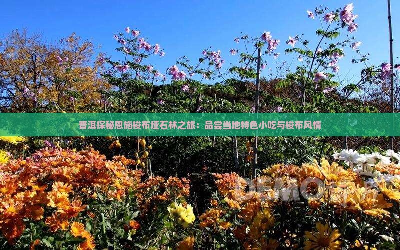 普洱探秘恩施梭布垭石林之旅：品尝当地特色小吃与梭布风情