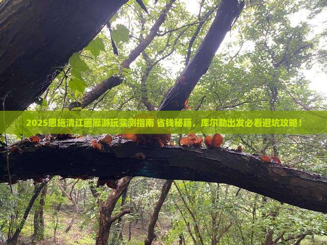 库尔勒去恩施清江画廊必去地