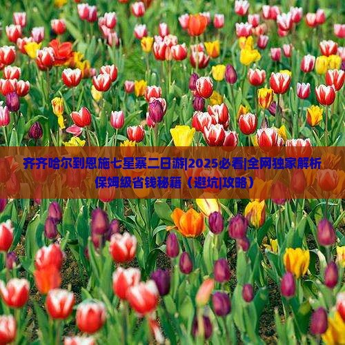 齐齐哈尔到恩施七星寨二日游