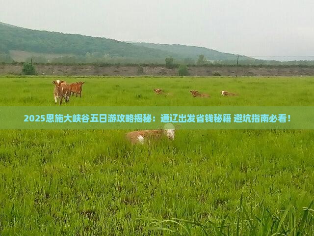 通辽市去恩施大峡谷五日游