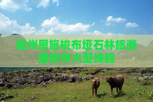 福州去恩施梭布垭石林大型旅游团