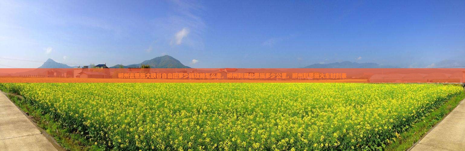 郴州去恩施大峡谷自由团