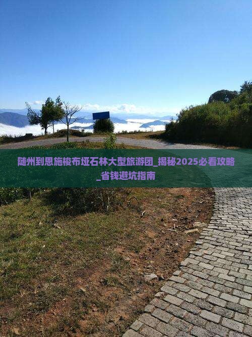 随州到恩施梭布垭石林大型旅游团